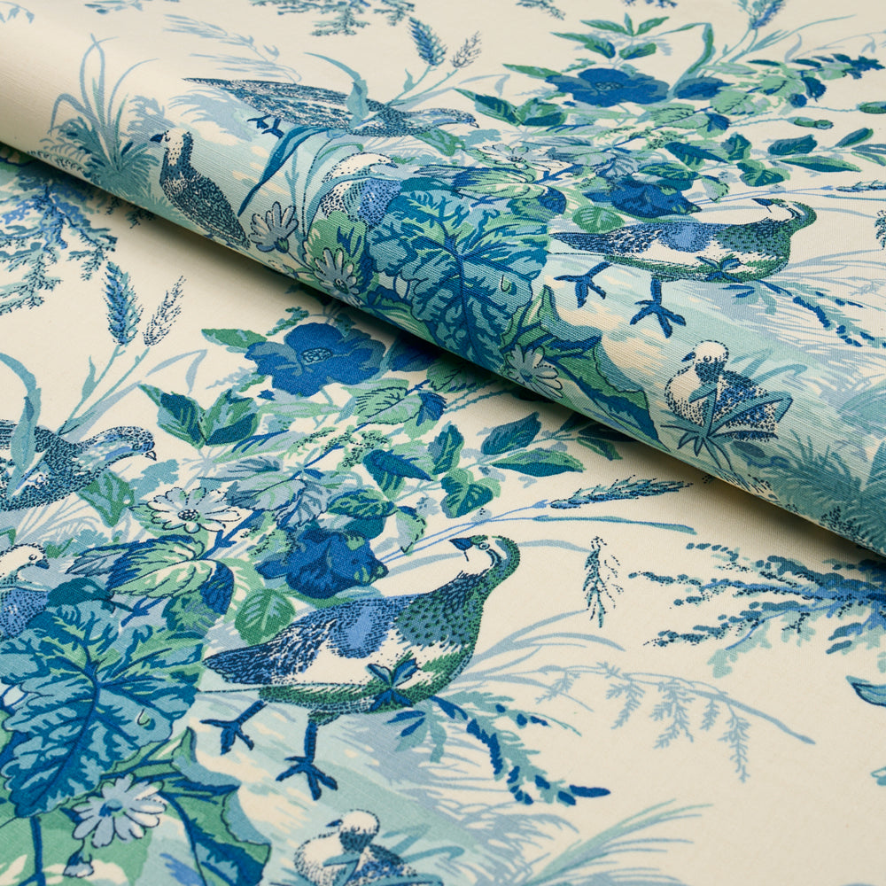 QUAIL MEADOW | Peacock