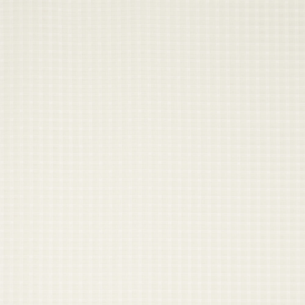 BOREALIS CHECK SHEER | Champagne