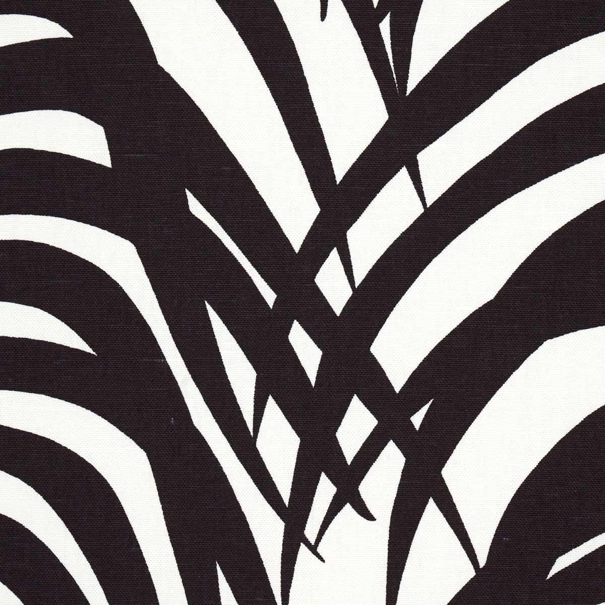 ZEBRA PALM | Ebony