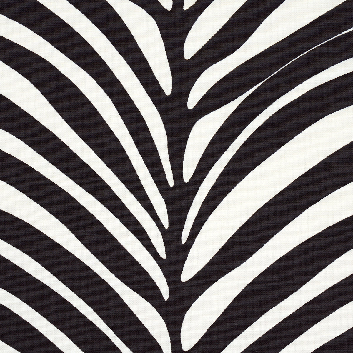 ZEBRA PALM | EBONY