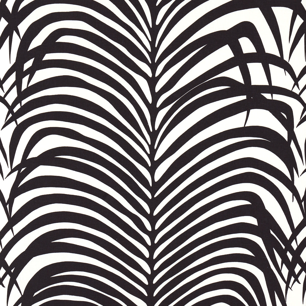 ZEBRA PALM | EBONY