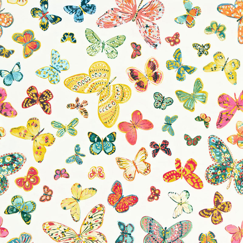 BUTTERFLY | Multi