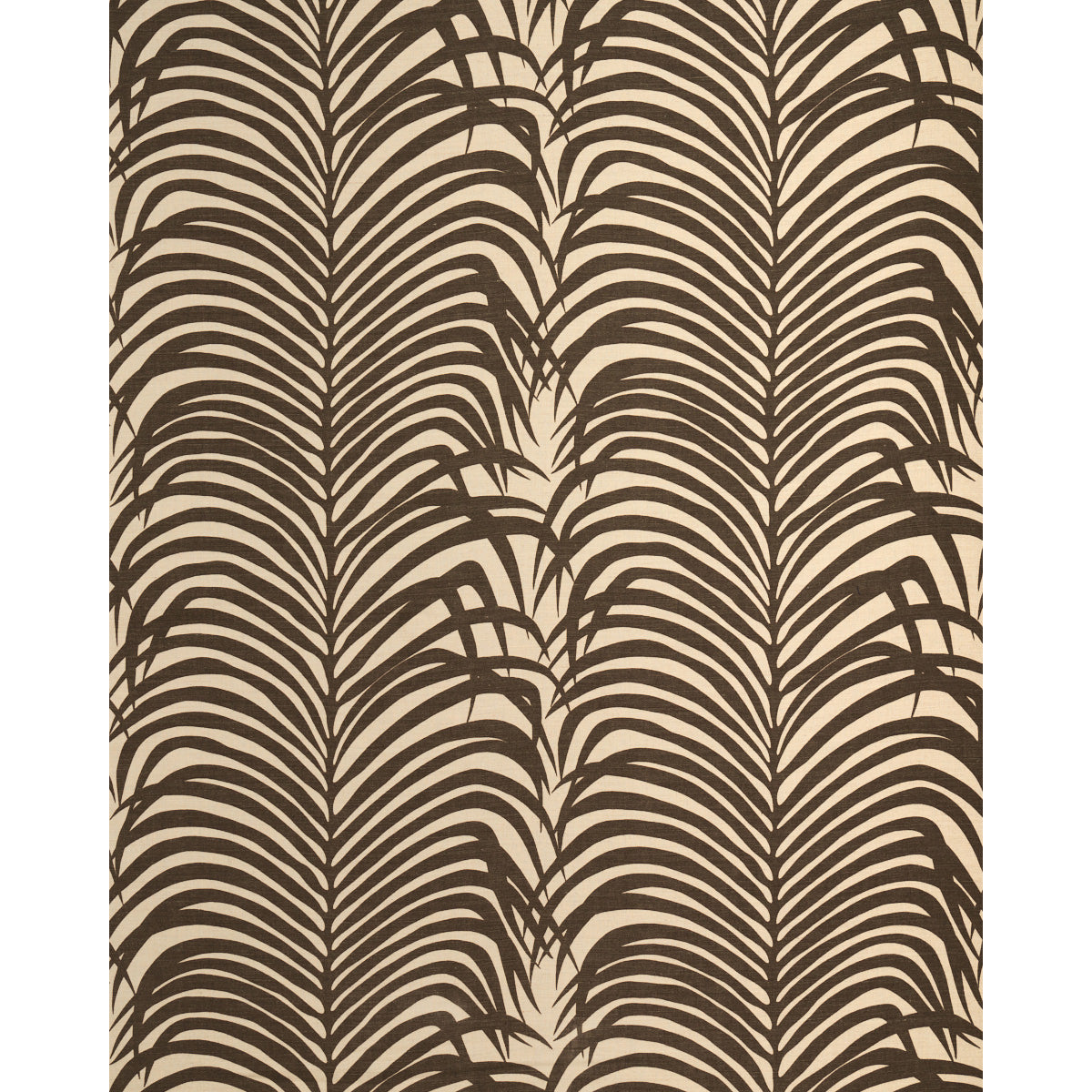 ZEBRA PALM | Java