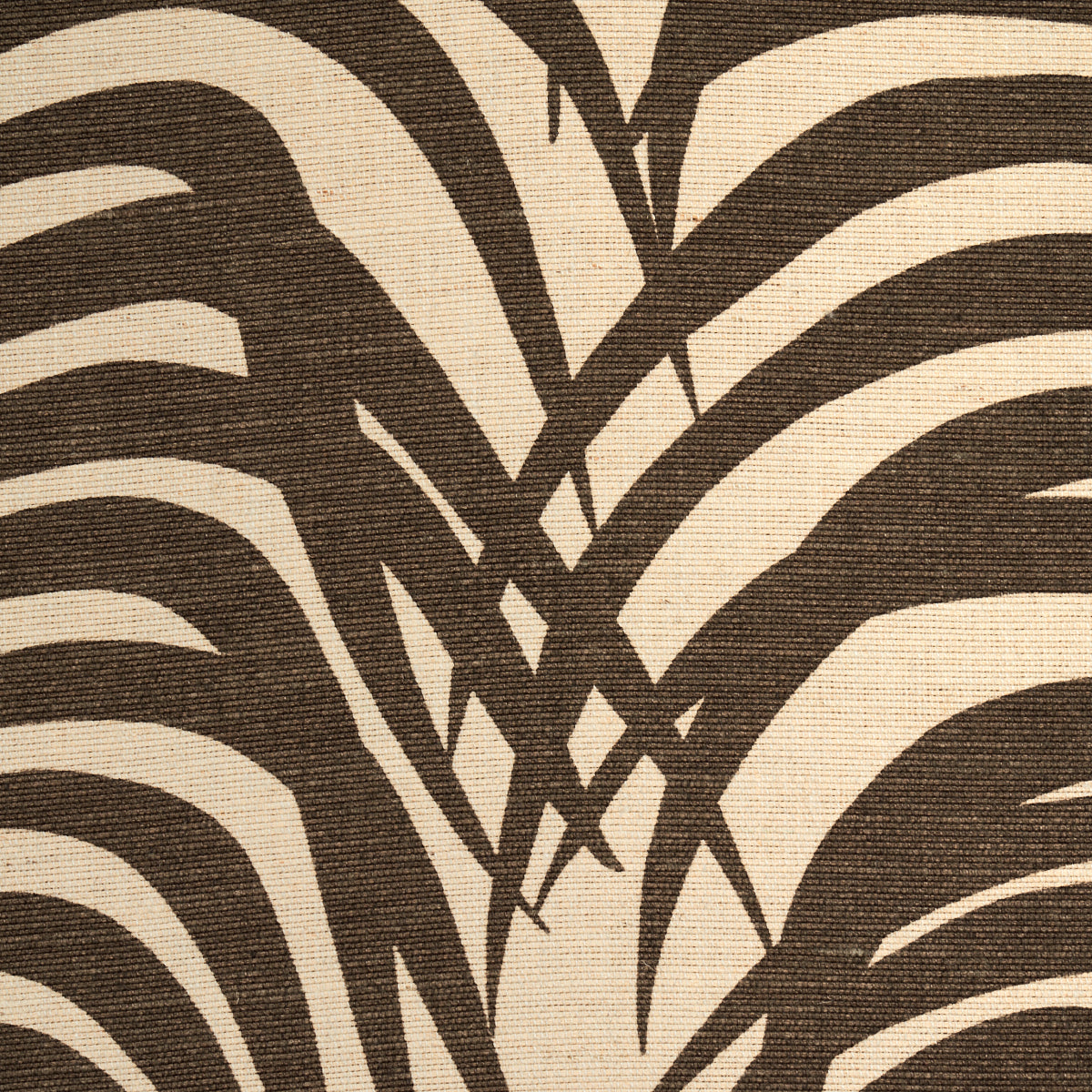 ZEBRA PALM | Java