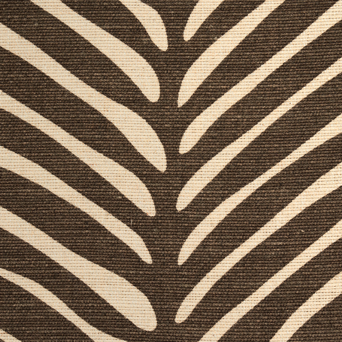 ZEBRA PALM | Java