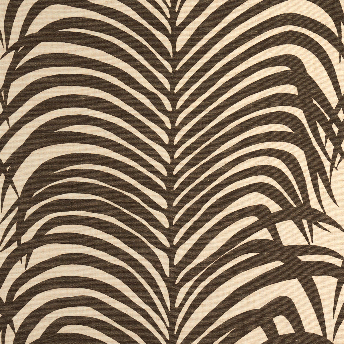 ZEBRA PALM | JAVA