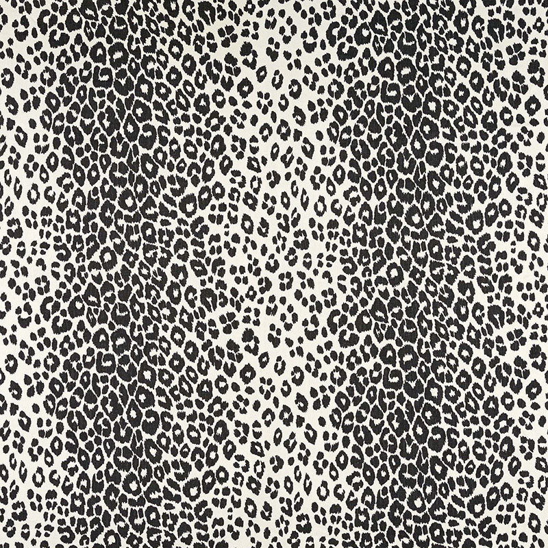 ICONIC LEOPARD | GRAPHITE