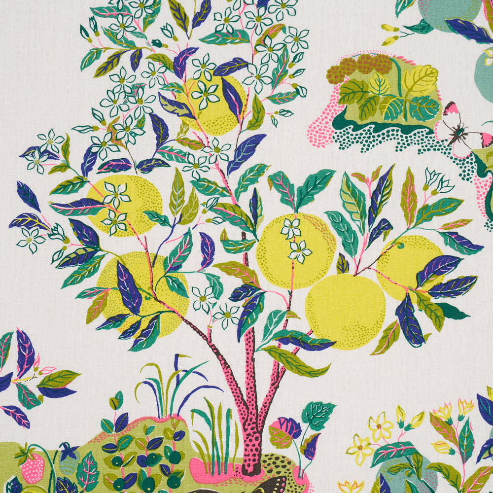 CITRUS GARDEN | Lime