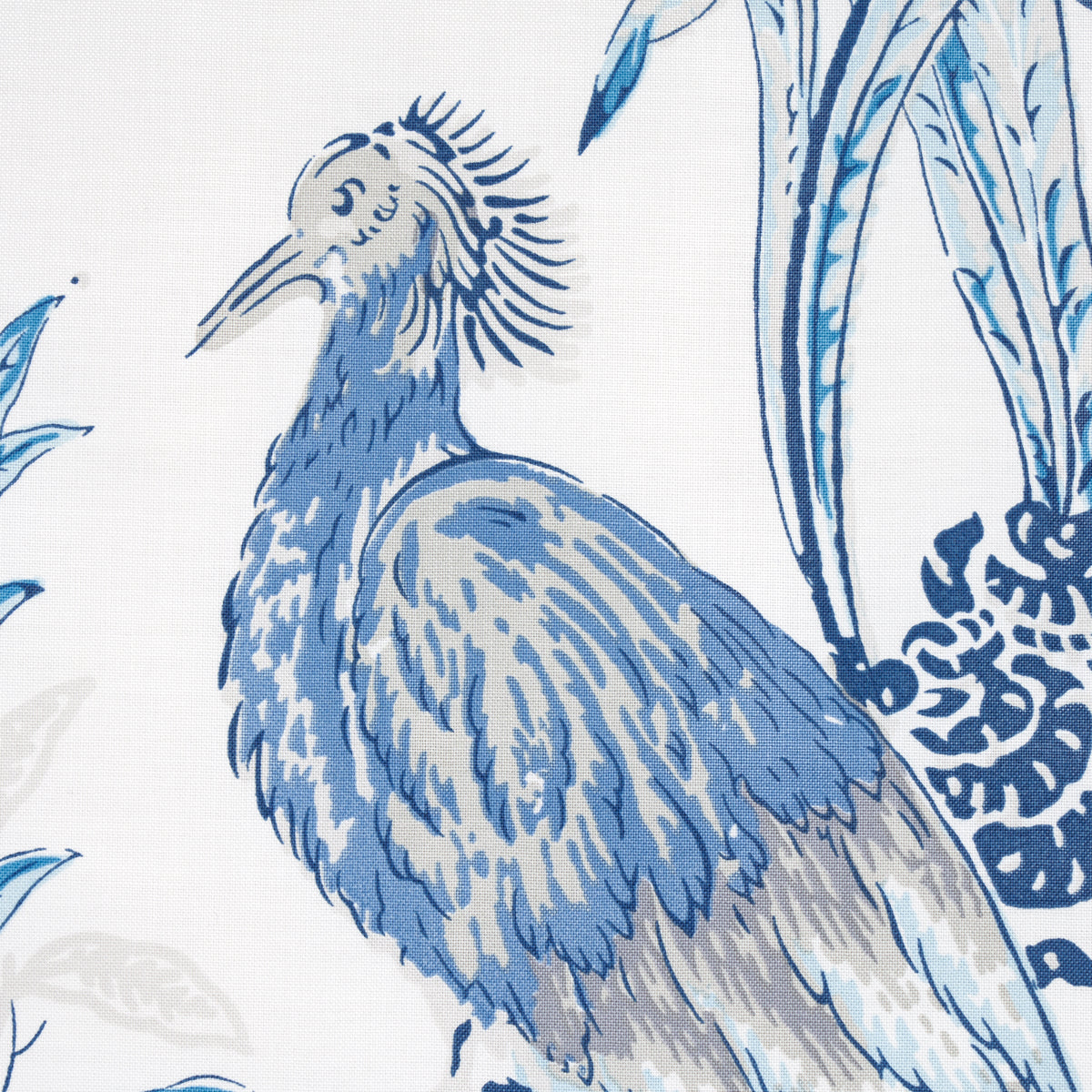 PEACOCK | Porcelain