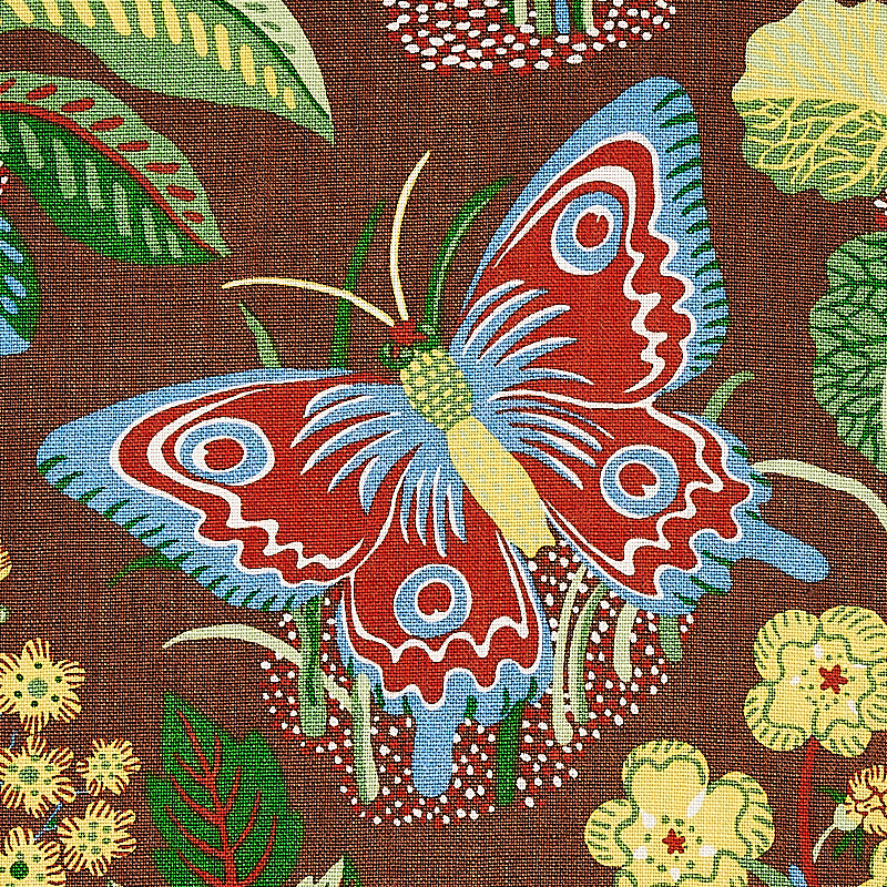 EXOTIC BUTTERFLY | Brown