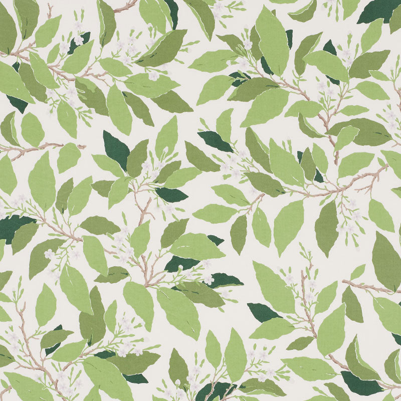 DOGWOOD LEAF | IVORY