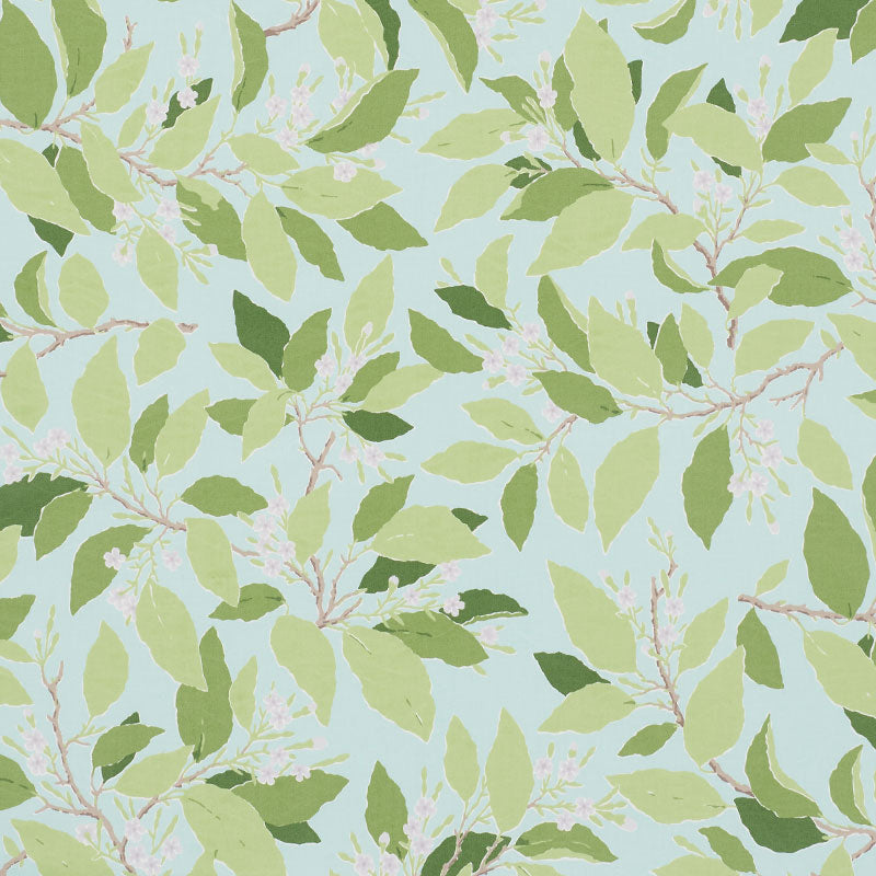 DOGWOOD LEAF | Aqua