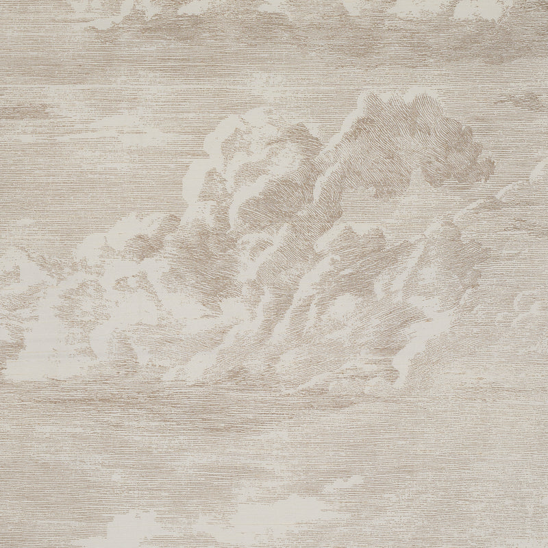 CLOUD TOILE | Champagne