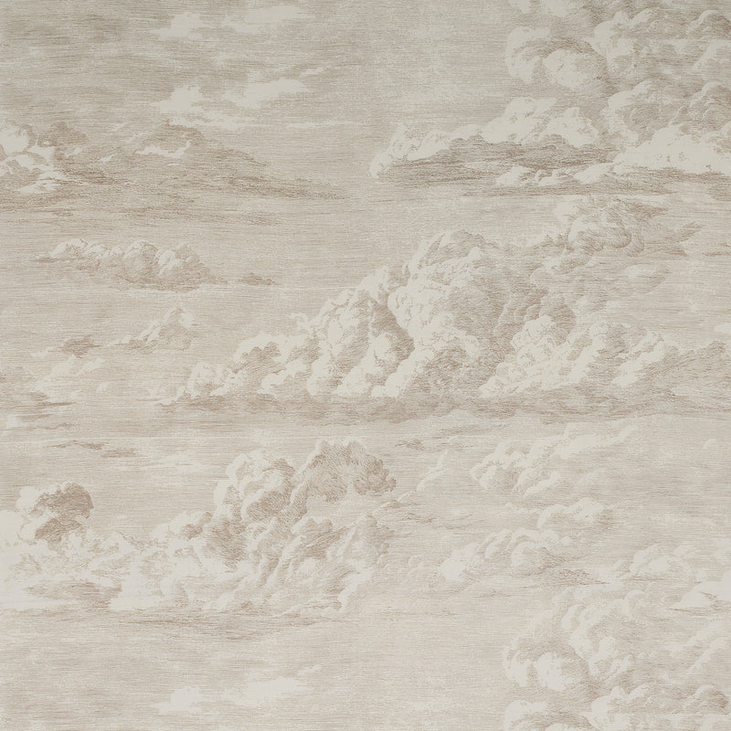 CLOUD TOILE | CHAMPAGNE