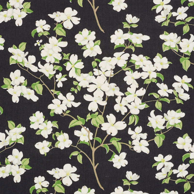 BLOOMING BRANCH | Black