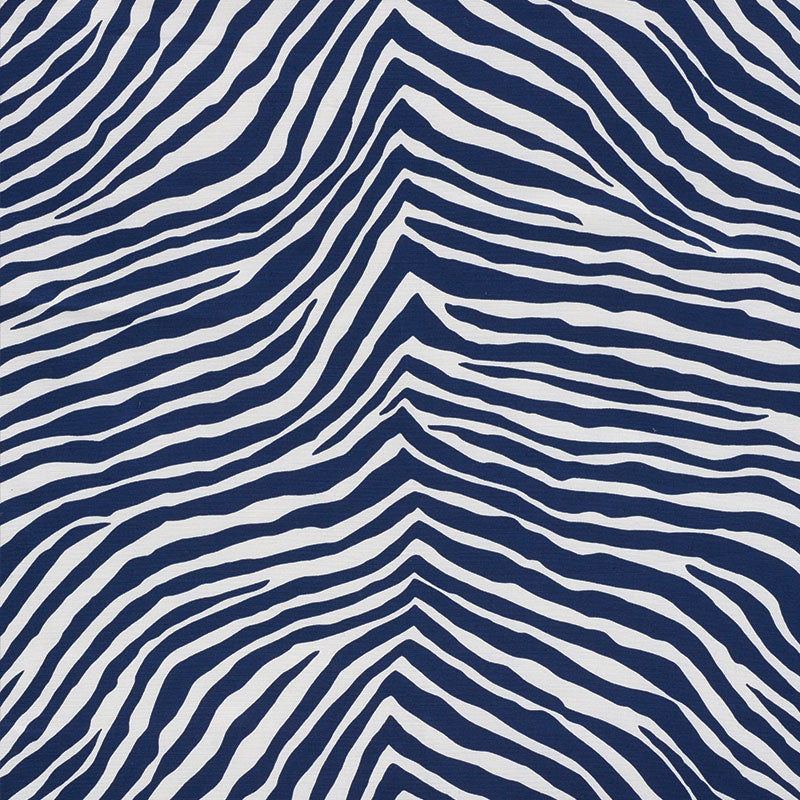 ICONIC ZEBRA | Blue