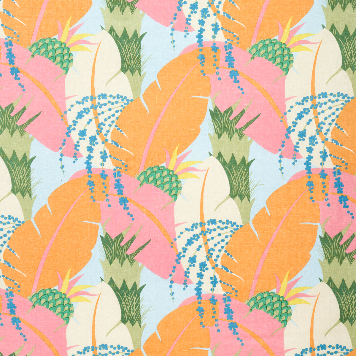 ANANAS | TROPICAL