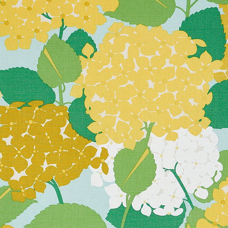 HYDRANGEA | Yellow