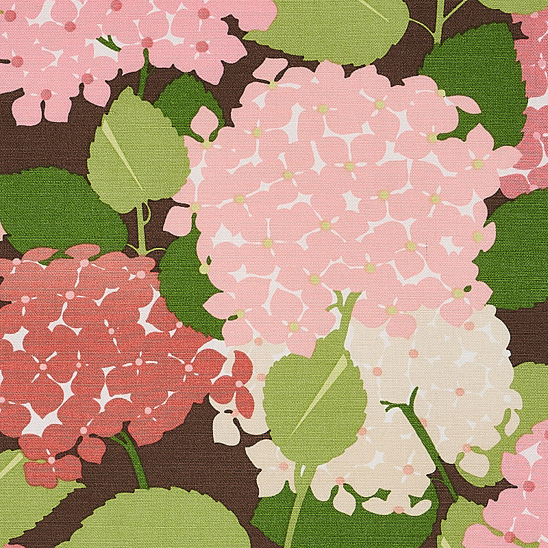 HYDRANGEA | Pink