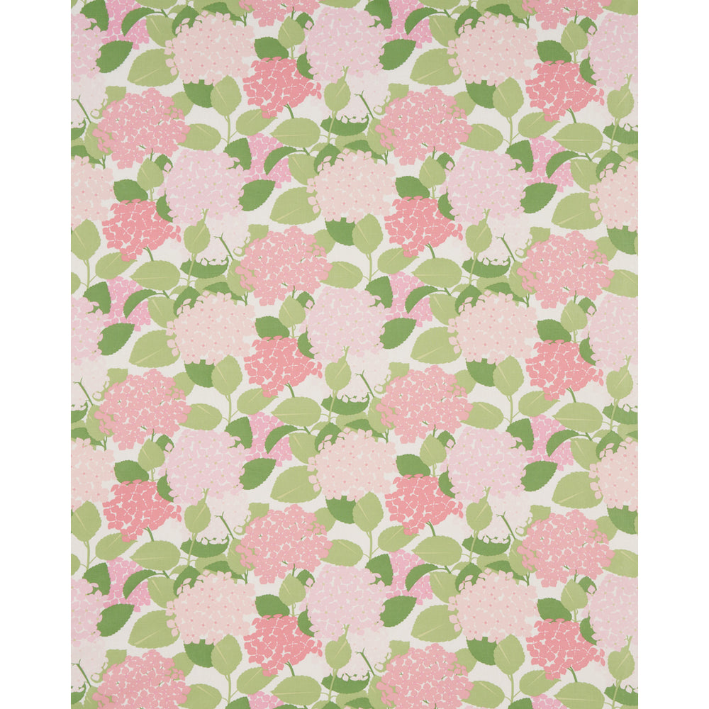 HYDRANGEA | Petal