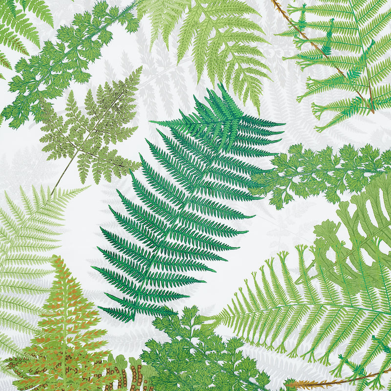 FERNARIUM | GREEN & IVORY