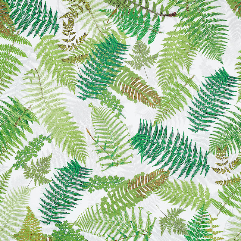 FERNARIUM | GREEN & IVORY