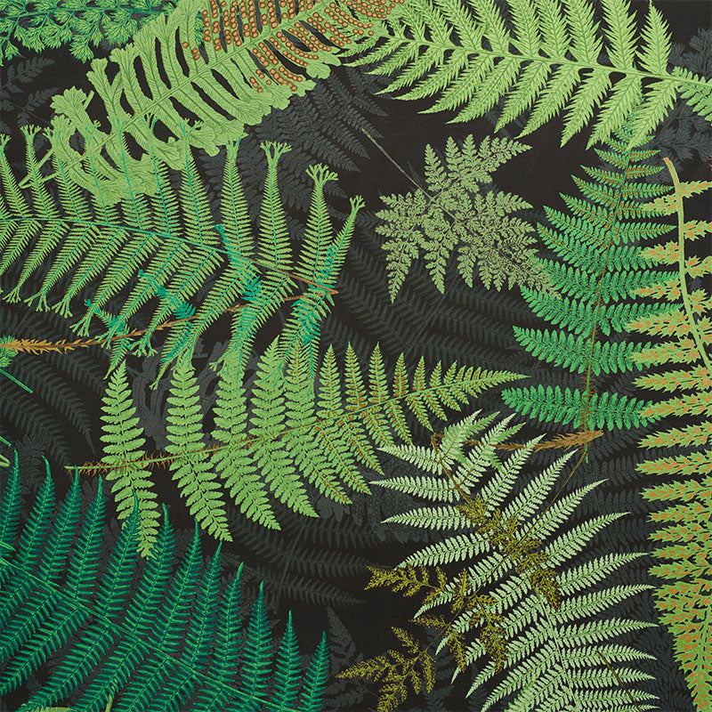 FERNARIUM | Green & Black