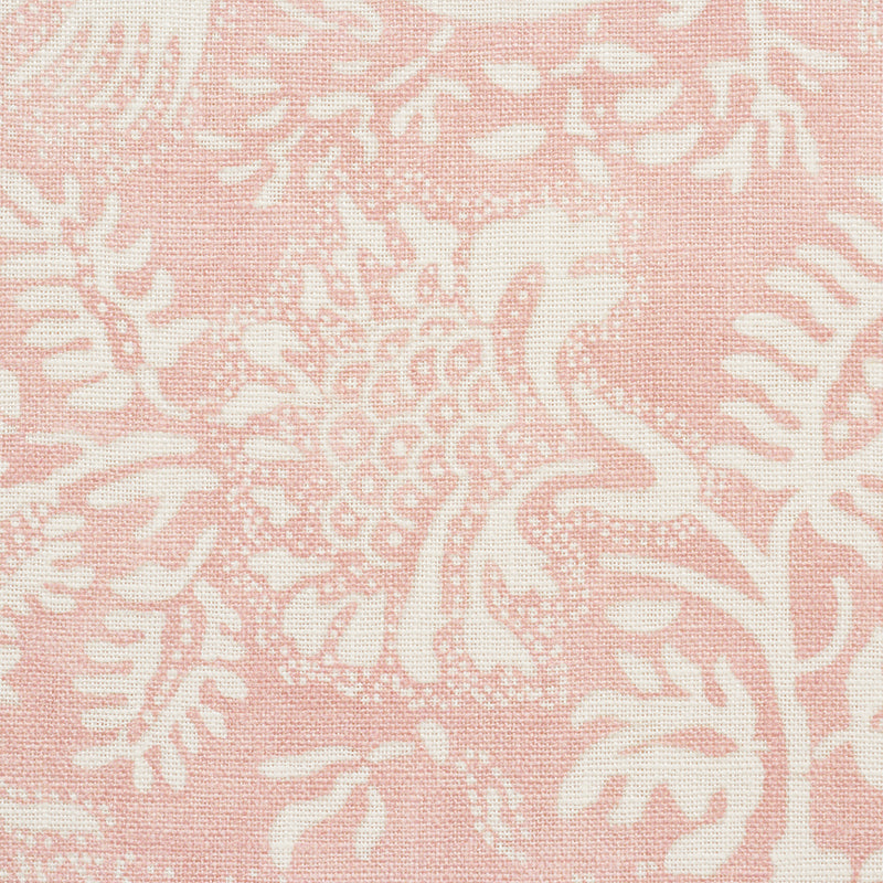 POMEGRANATE PRINT | PETAL