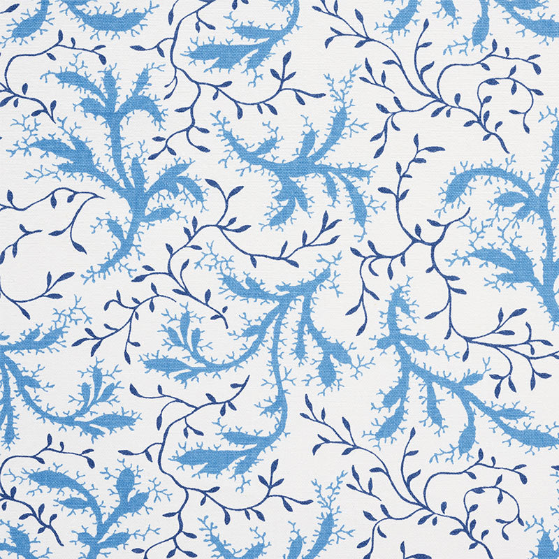 SPRIG | AFTERNOON BLUE