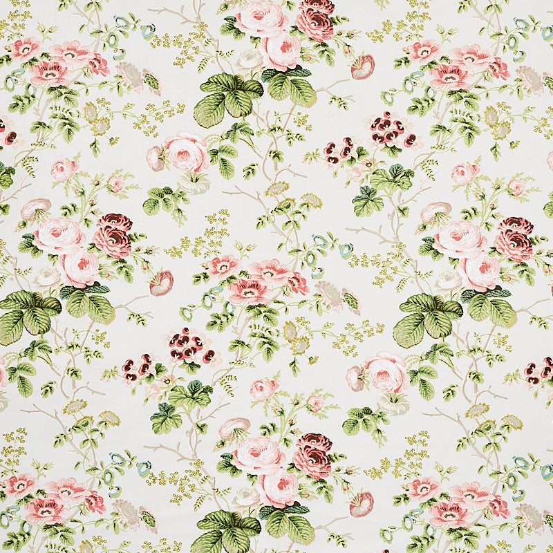 SALISBURY CHINTZ | BLUSH