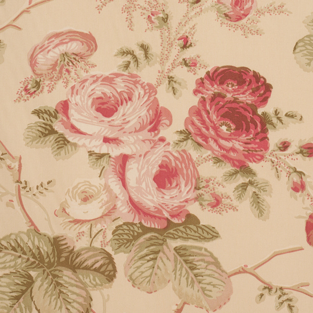 SALISBURY CHINTZ | Butter