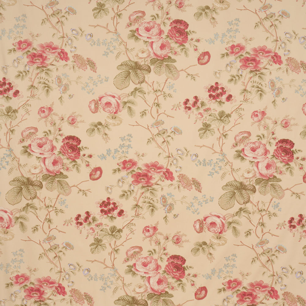 SALISBURY CHINTZ | Butter