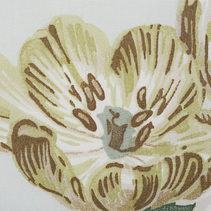 BETTY CHINTZ | Celadon