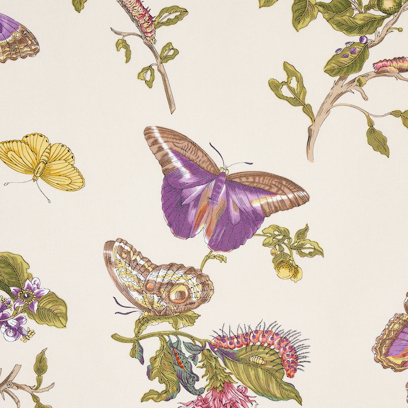 BAUDIN BUTTERFLY CHINTZ | Purple