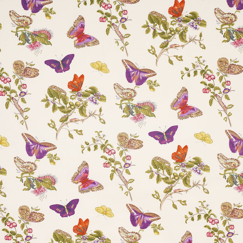 BAUDIN BUTTERFLY CHINTZ | Purple