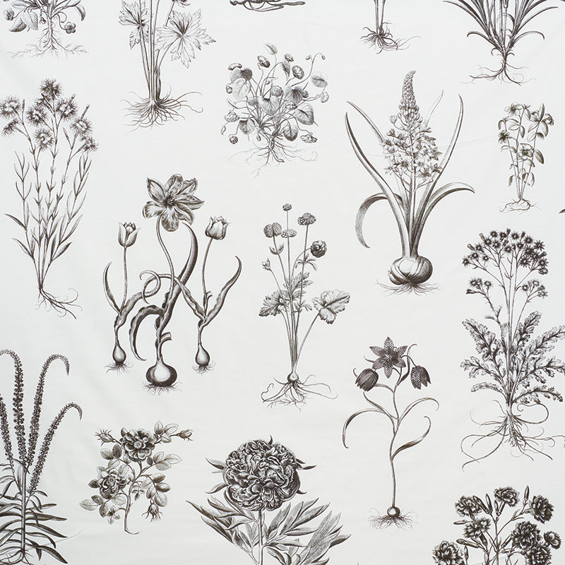 CABOT BOTANICAL LARGE | Ivory