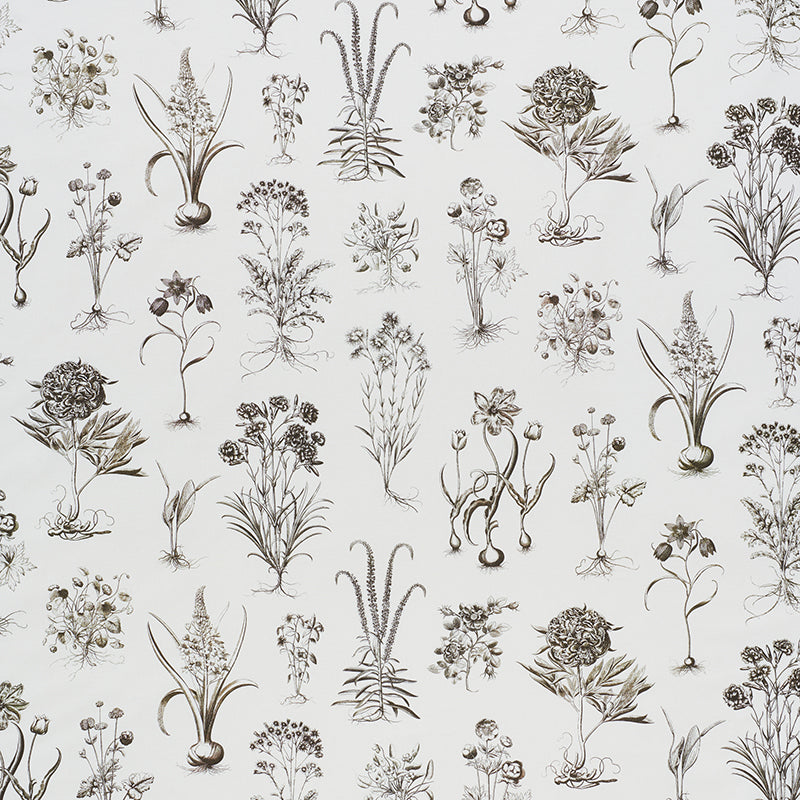 CABOT BOTANICAL | IVORY