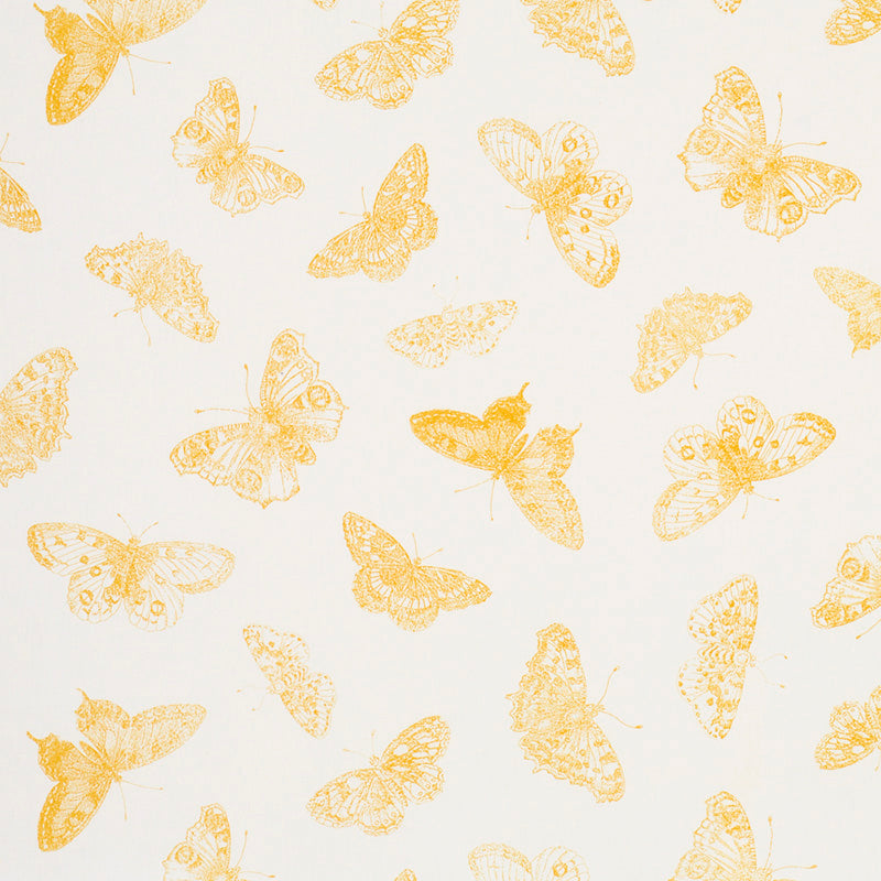 BURNELL BUTTERFLY | Yellow