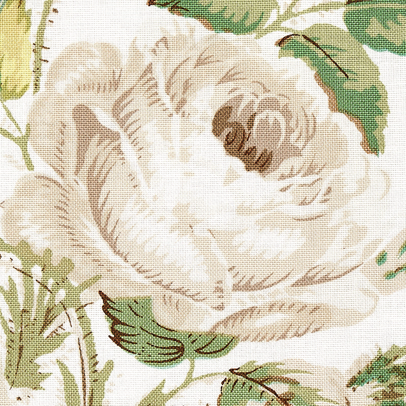 LOUDON ROSE | IVORY