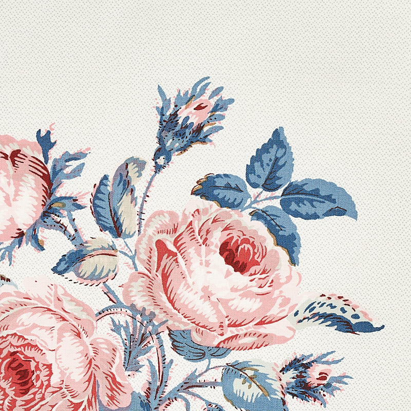 LOUDON ROSE | ROSE & BLUE