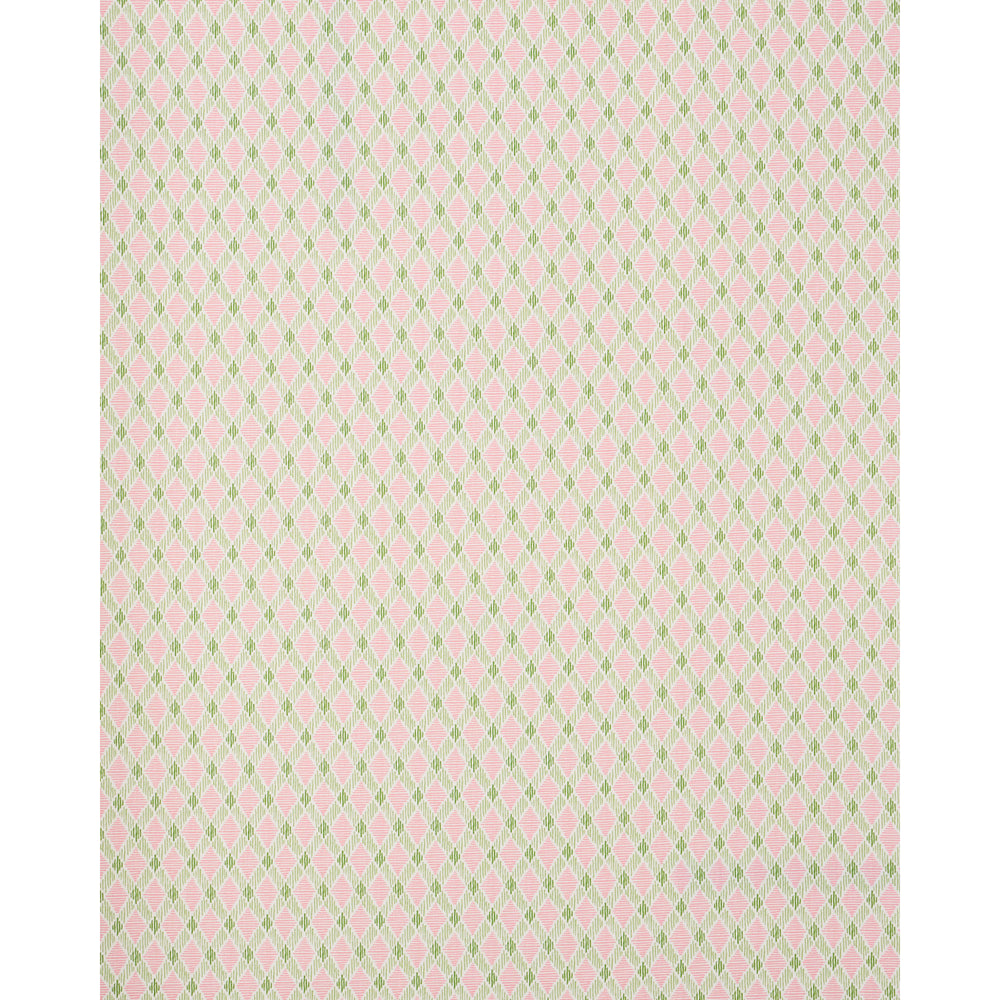 DEXTER INDOOR/OUTDOOR | Pink & Green