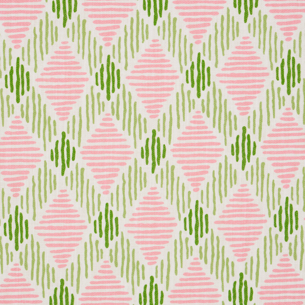 DEXTER INDOOR/OUTDOOR | Pink & Green