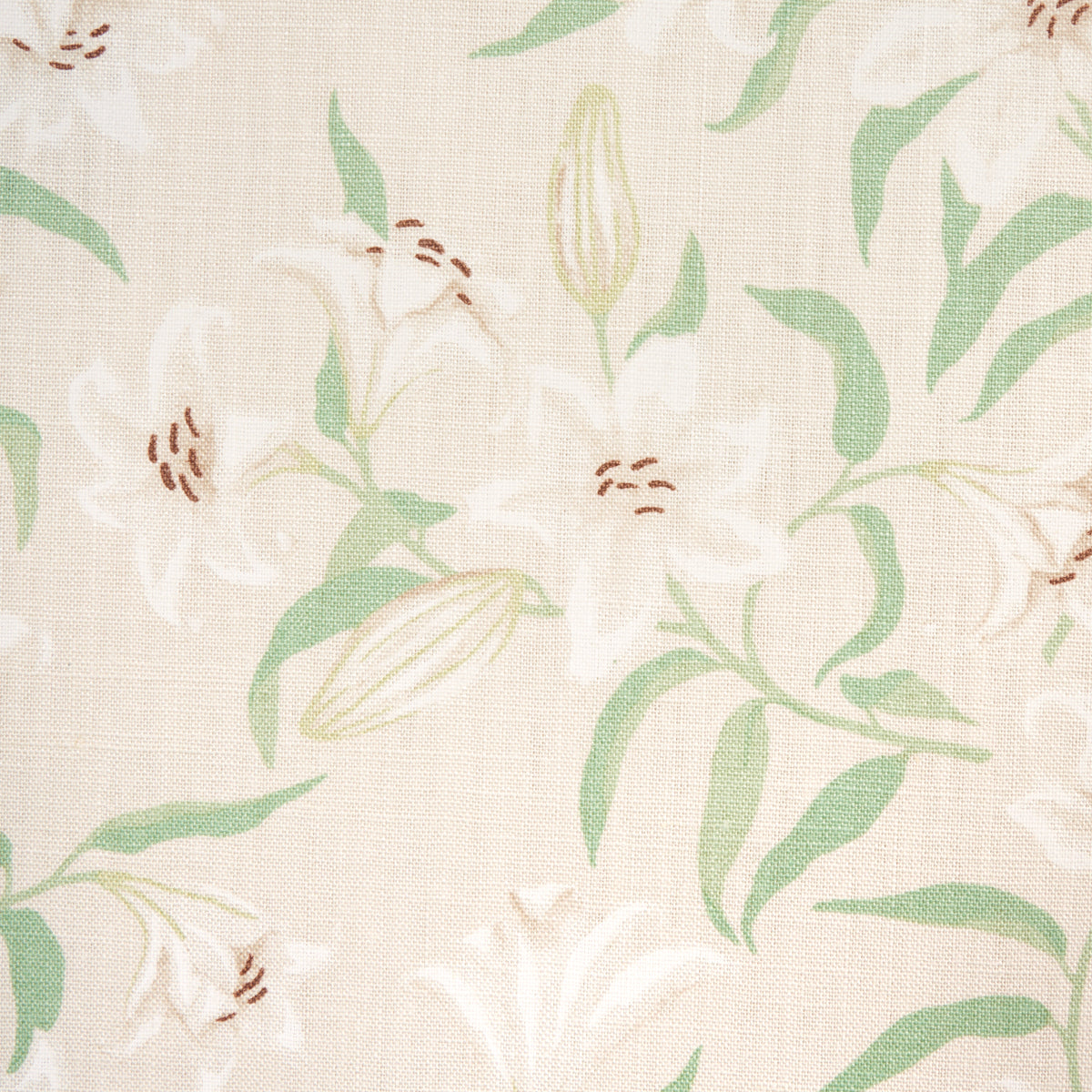 SCATTERED LILIES | Cream