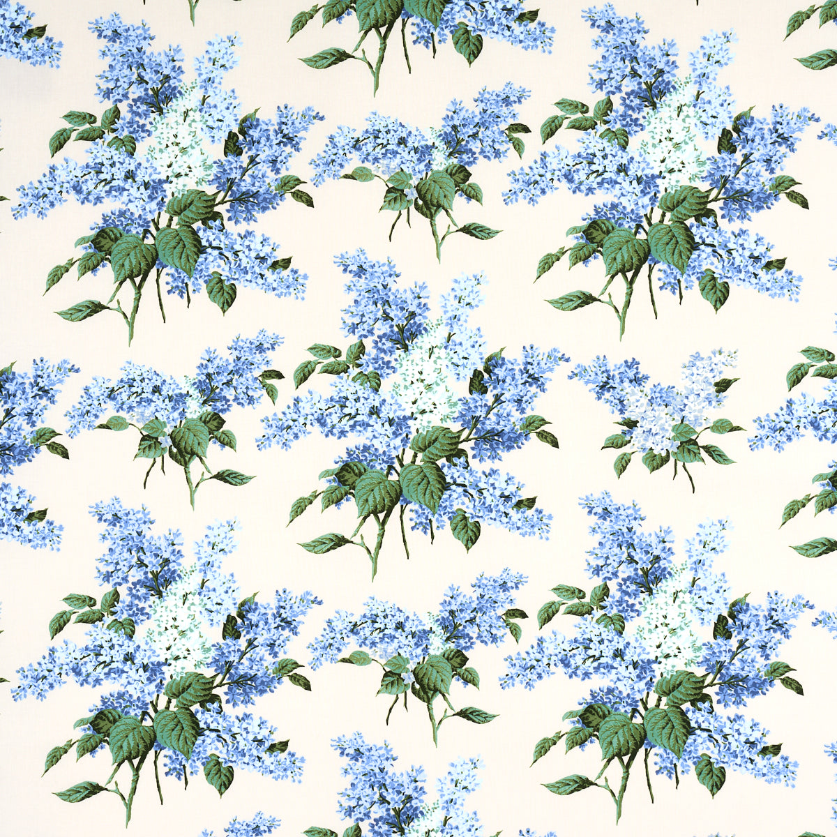 PROUST'S LILACS | BLUE