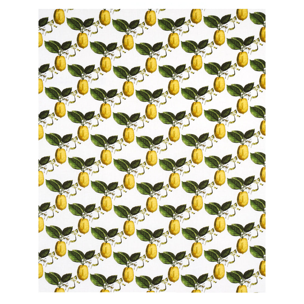 LE CITRON | Ivory
