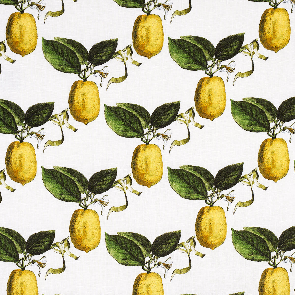 LE CITRON | IVORY