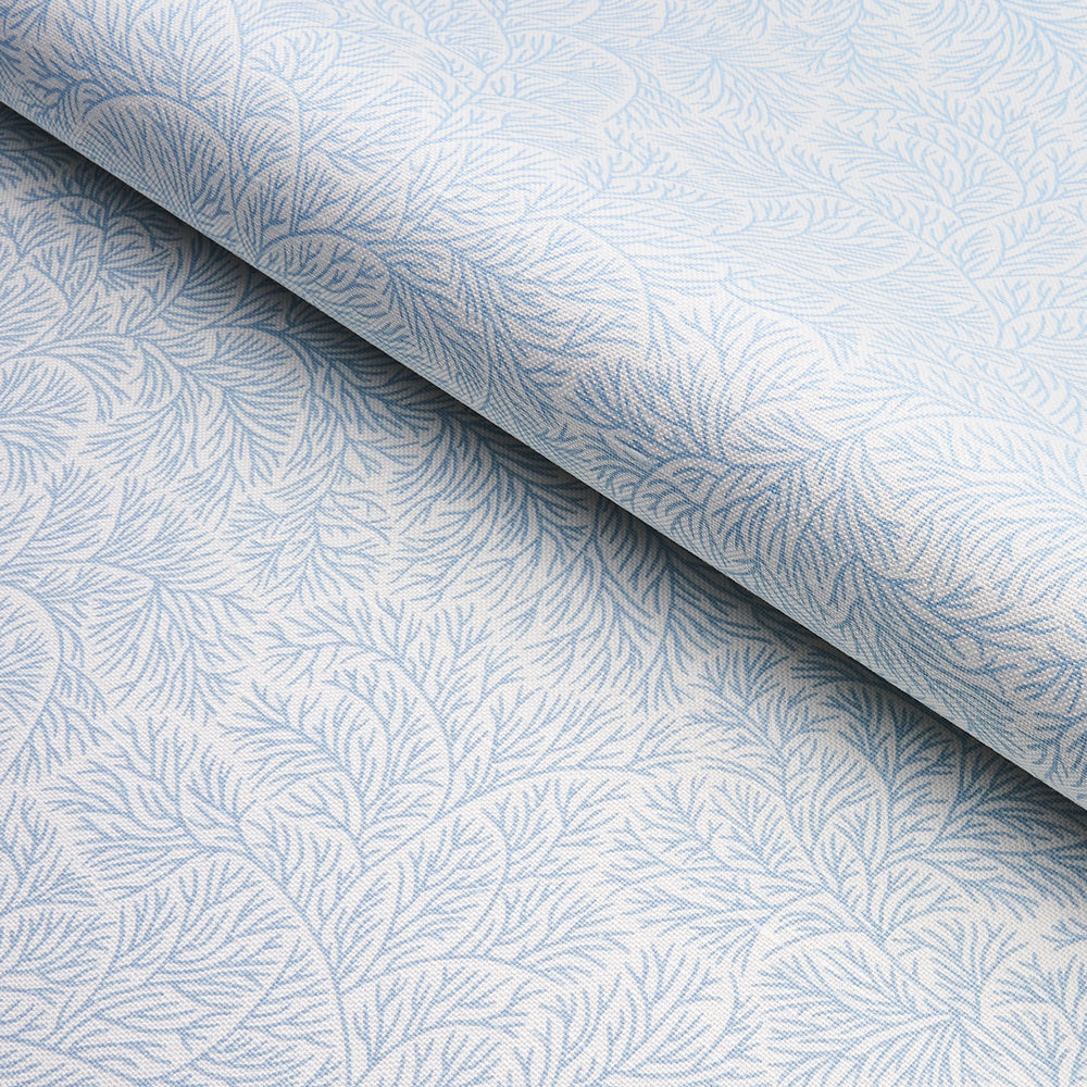 BOUGAINVILLEA | China Blue