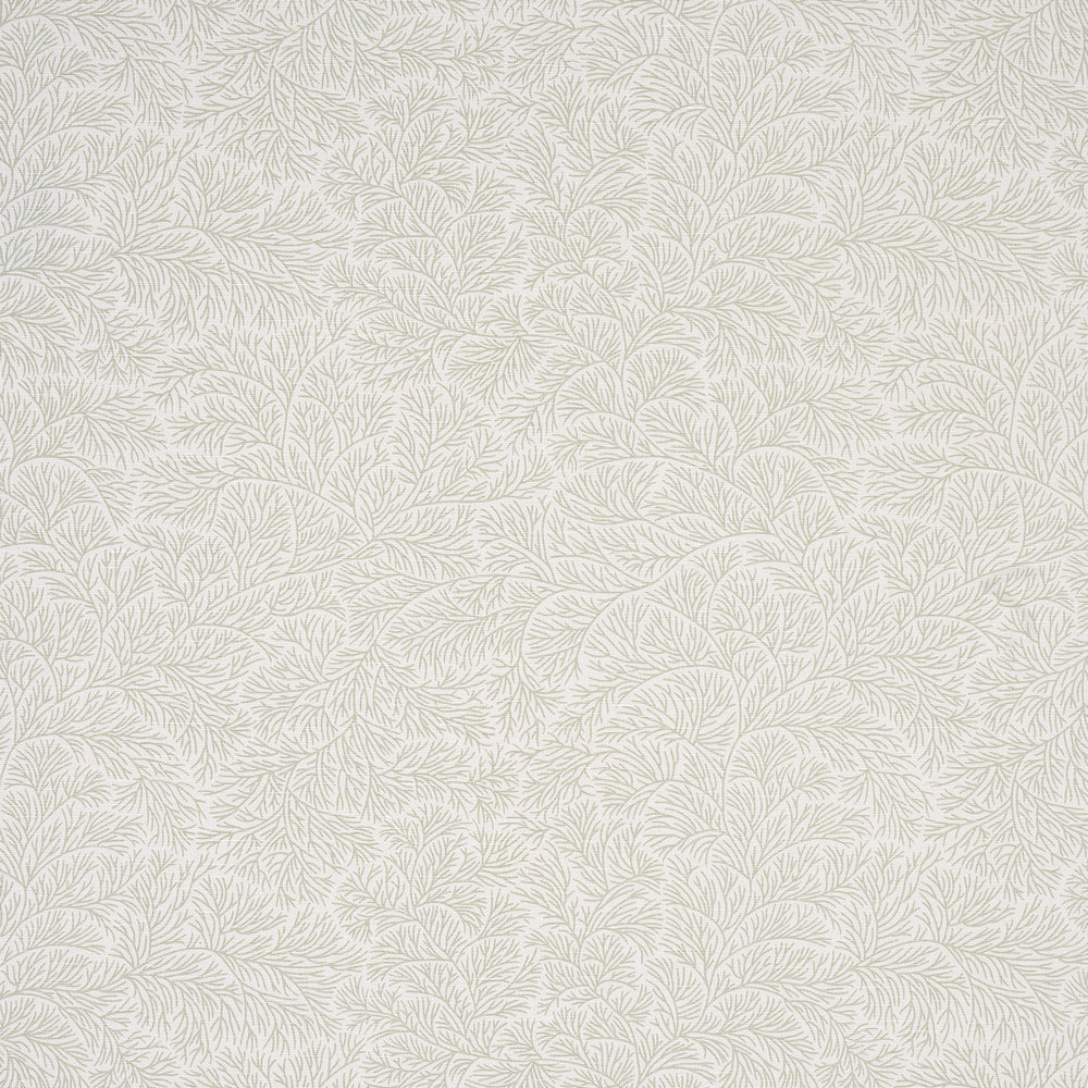 BOUGAINVILLEA | Leaf Green