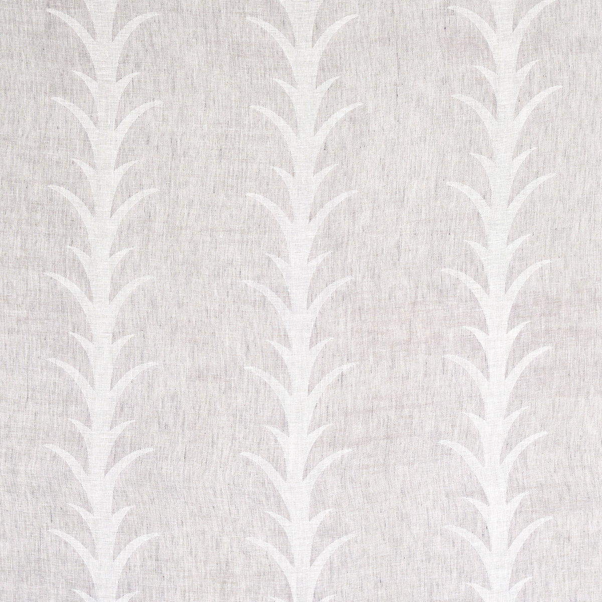 ACANTHUS STRIPE SHEER | Carbon