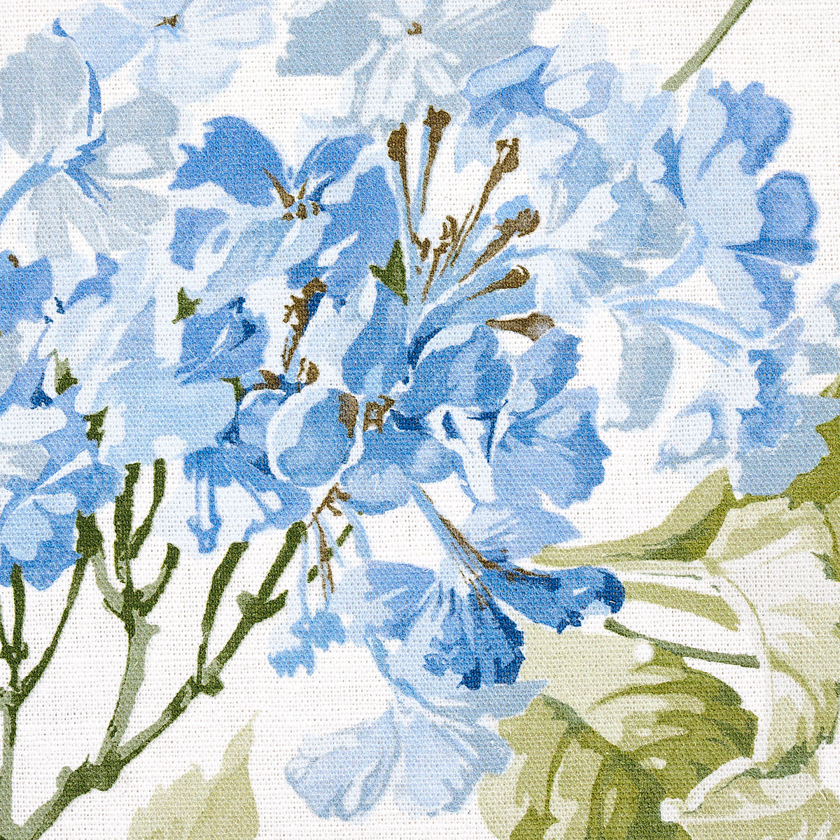 SUMMER HYDRANGEA | BLUE HYDRANGEA